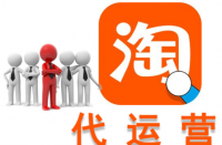火蝠電商專(zhuān)業(yè)的網(wǎng)店托管
