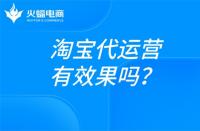 農(nóng)村電商一年掙多少錢(農(nóng)村電商都有什么項目)